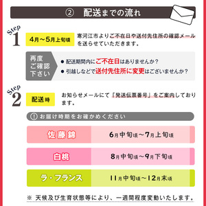 令和6年産 特秀品 「ラ・フランス」 3kg 《GI認証》 化粧箱入り サイズおまかせ 山形産 2024年産 【2024年11月中旬頃～12月末頃発送予定】　012-B-AF005