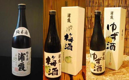 日本酒 「浦霞」3本 飲み比べ ( 純米酒 梅酒 ゆず酒 ) 720ml×3 BASE純米セット　4525763