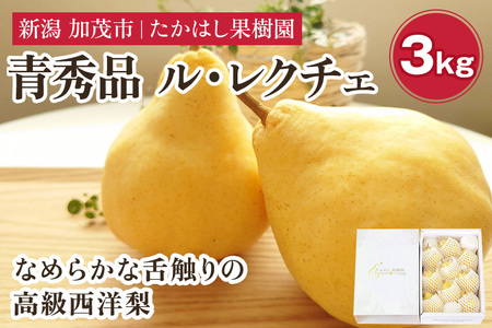 【2026年先行予約】たかはし果樹園 謹製 新潟特産 幻の洋梨ル・レクチェ 青秀品 約3kg 《11月下旬～順次配送》
