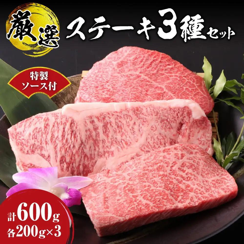 ステーキ 3種セット 合計600ｇ 特製ソース付