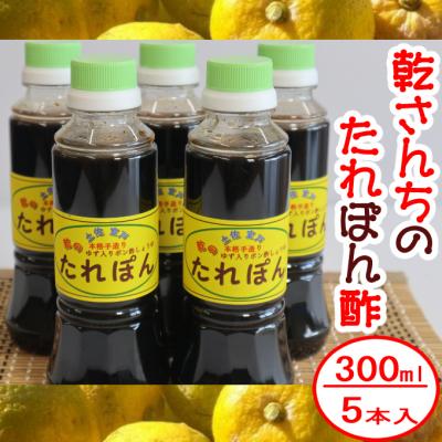 ふるさと納税 室戸市 たれぽん(ぽん酢しょうゆ)【5本入り】