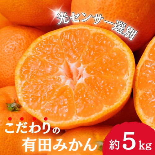 【2024年12月発送予約分】＼光センサー選別／農家直送 こだわりの有田みかん 約5kg＋250g(傷み補償分) 【ご家庭用】【12月発送】みかん ミカン 有田みかん 温州みかん 柑橘 有田 和歌山 ※北海道・沖縄・離島配送不可/みかん ミカン 有田みかん 温州みかん 柑橘 有田 和歌山 産地直送【nuk160-2A】