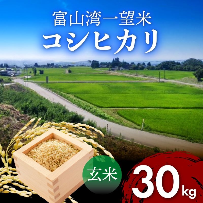 【先行予約】新米 富山湾一望米　コシヒカリ 玄米 【容量30kg】【2025年10月より順次発送】 
