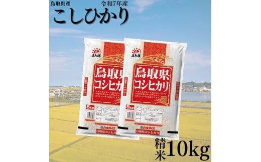 384K.鳥取県産こしひかり◇精米10kg◇令和7年産