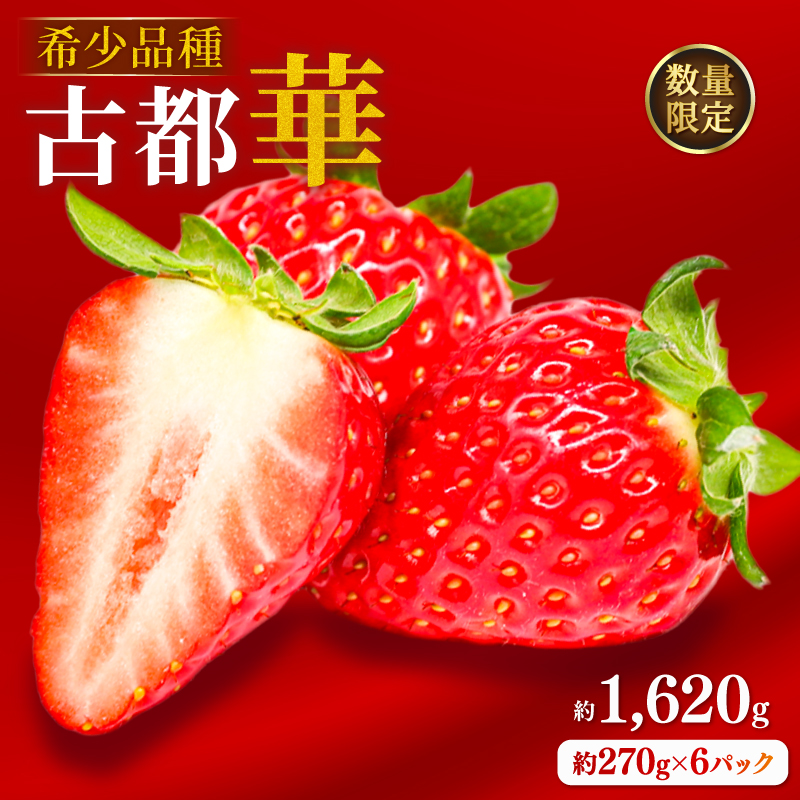 いちご ことか 約1620g 約270g×6パック 古都華 先行予約 2027年発送 数量限定 選べる容量 産地直送 旬 冷蔵 イチゴ 苺 itigo ichigo strawberry ストロベリー いちご 大粒 お取り寄せ 国産 フルーツ 果物 スイーツ 小分け ブランドいちご ふるさと納税いちご 甘い 完熟 おすすめ 贈答 プレゼント ギフト 奈良県 奈良市 のぼるちゃんファーム