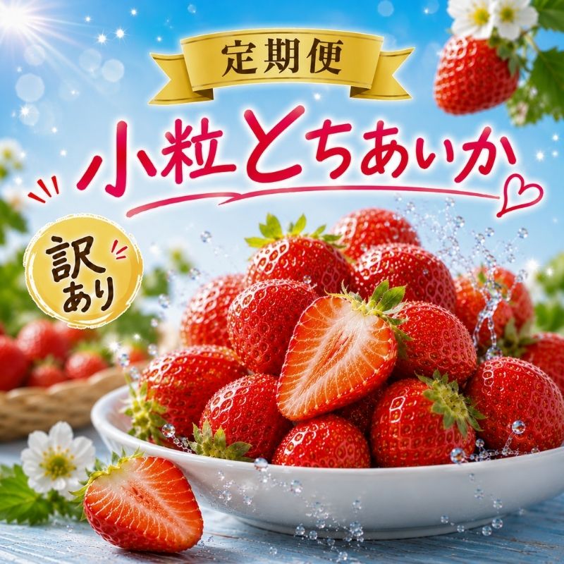 【ふるさと納税】小粒 とちあいか いちご 定期便 先行予約 | フルーツ 果物 贈り物 栃木県 真岡市 送料無料