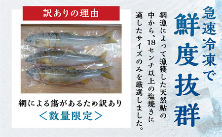 白川村産 飛騨庄川の天然鮎 6尾 18cm以上 訳あり 訳アリ 鮎 天然 あゆ 魚 川魚 岐阜県 白川郷 世界遺産 塩焼き BBQ 10000円 [S594]