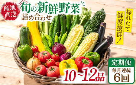 【6回定期便】毎月連続 旬の新鮮 野菜詰め合わせセット（10品-12品）/ 野菜 定期便 やさい 定期便 野菜セット やさいセット 春野菜 夏野菜 秋野菜 冬野菜 旬新鮮 / 南島原市 /長崎県農産品流通合同会社[SCB095]