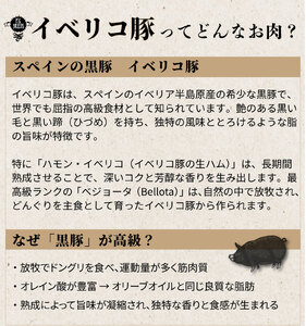 イベリコ豚入りソーセージ　3kg(500g x 6p) [AU102]