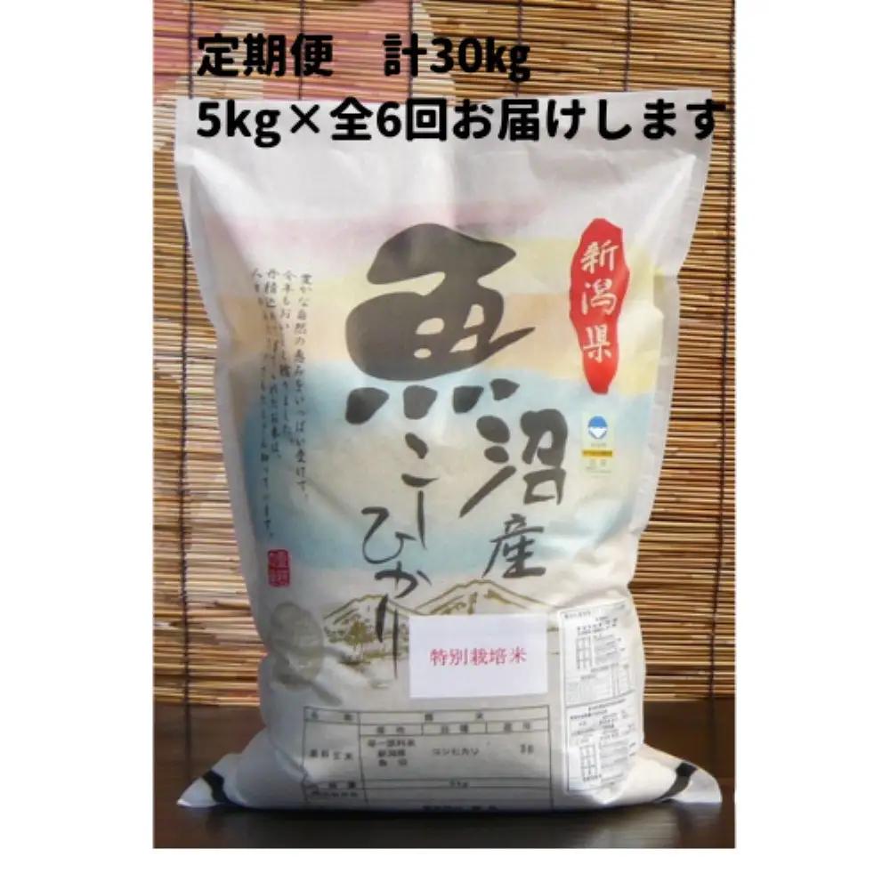 【令和７年】6か月定期便　がんこおやじが作った南魚沼産コシヒカリ白米５kg | 白米