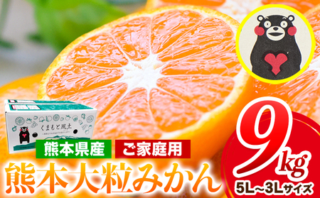訳あり 大粒みかん 約9kg 5L～3Lサイズ 《2026年1月中旬-2月末頃出荷》みかん 訳ありみかん 熊本県産みかん 大容量