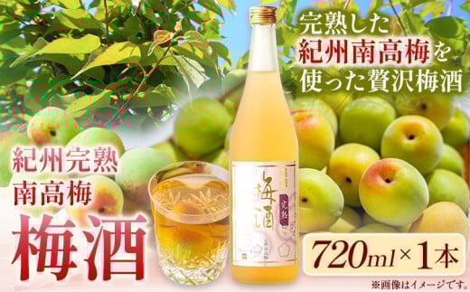 梅酒 紀州完熟南高梅 梅酒 720ml 酒のねごろっく《90日以内に出荷予定(土日祝除く)》和歌山県 岩出市 梅酒 梅 うめ 紀州南高梅 720ml おつまみ おさけ お酒 晩酌 ストック 家飲み 宅飲み お酒 和歌山 清酒蔵元 燗酒 吟醸酒 おつまみ おさけ リキュール カクテル 甘い ギフト 晩酌 岩出 わかやま 和歌山のお酒 地酒 お酒