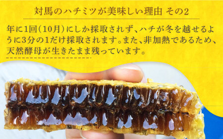 対馬 和蜂 はちみつ 600g×2 《対馬市》【特定非営利活動法人 對馬次世代協議会（対馬コノソレ）】 蜂蜜 ハチミツ 日本ミツバチ 二ホンミツバチ[WAM030]
