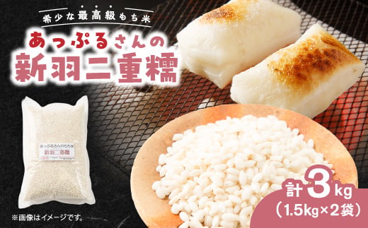 
                  ＜京都府固有種・希少もち米＞ 新羽二重糯1.5kg×2袋　冷めてもやわらかい最高級もち米　農家直送【1713950】
                