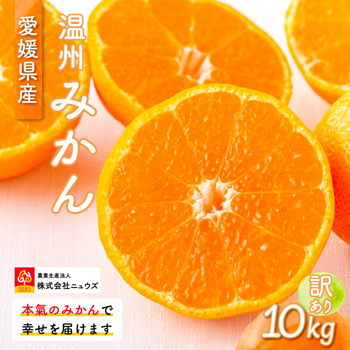 【ふるさと納税】【先行予約】【訳あり】温州みかん 10kg ※離島への配送不可（2025年11月上旬より順次発送） 【ふるさと納税 人気 おすすめ ランキング みかん ミカン 蜜柑 温州みかん 訳あり フルーツ 果物 産地直送 ニュウズ 愛媛県産 愛媛県 伊方町 送料無料】 IKTF028