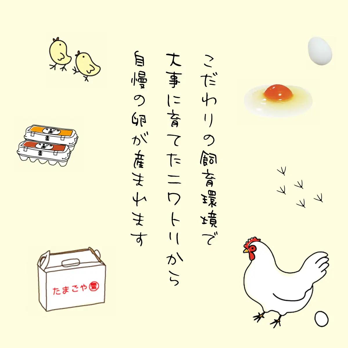 8ヶ月定期便 たまごやとよまる 煌黄20個 SMAS014 千葉県 山武市 卵 たまご タマゴ