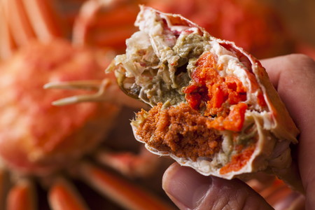 【蟹の匠 魚政】内子外子が美味! 茹でたて セイコガニ（セコ蟹）（香箱ガニ）（こっぺ）中サイズ 5匹セット　ボイル蟹・香箱蟹・セイコ蟹・セコガニ