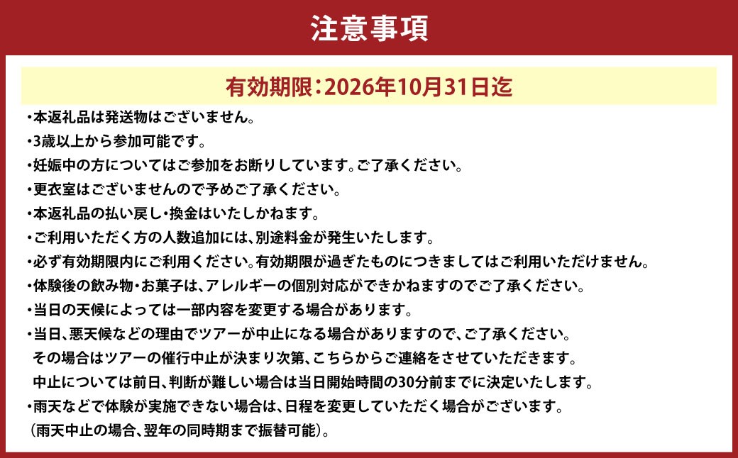 貸し切りツアー大人1名カナディアンカヌーで行く阿寒湖早朝散歩