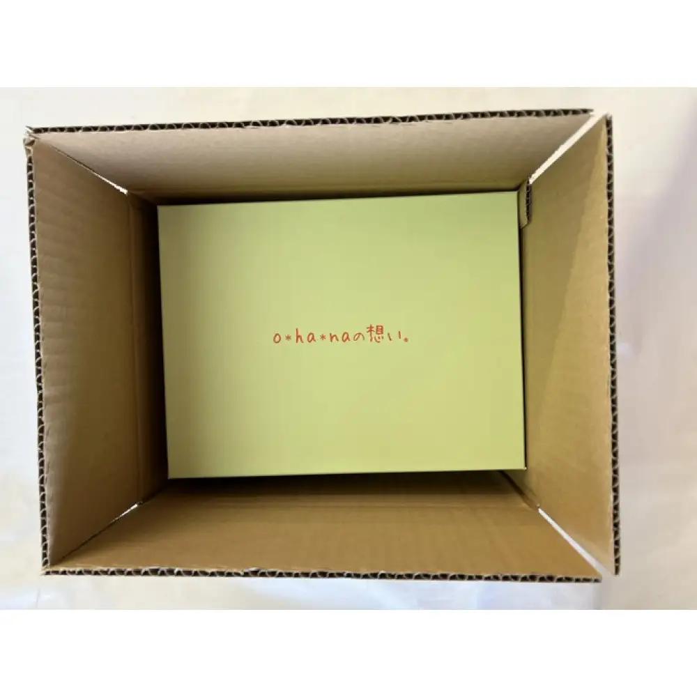 花付きケアシューズohanaの想い　コスモス　Lサイズ【ブラック】