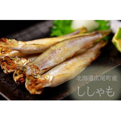 ふるさと納税 広尾町 【広尾町産】干物専門店かぶらぎ水産のメスししゃも30尾