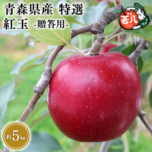 １０月発送　特選　甚八りんご紅玉5kg　【マルジンサンアップル　10月　青森県産　平川市　りんご　紅玉　5kg　特選　贈答用】