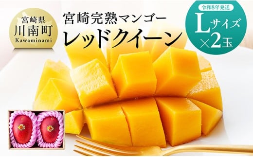 【令和8年発送】宮崎県産完熟マンゴー　「レッドクイーン」L×2玉 【 果物 フルーツ マンゴー 宮崎県産 完熟マンゴー みやざきマンゴー 先行予約 数量限定 期間限定 】