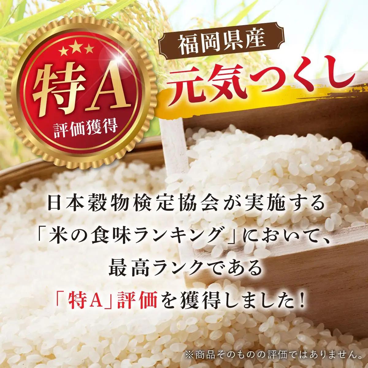 福岡県産元気つくし 白米10kg
