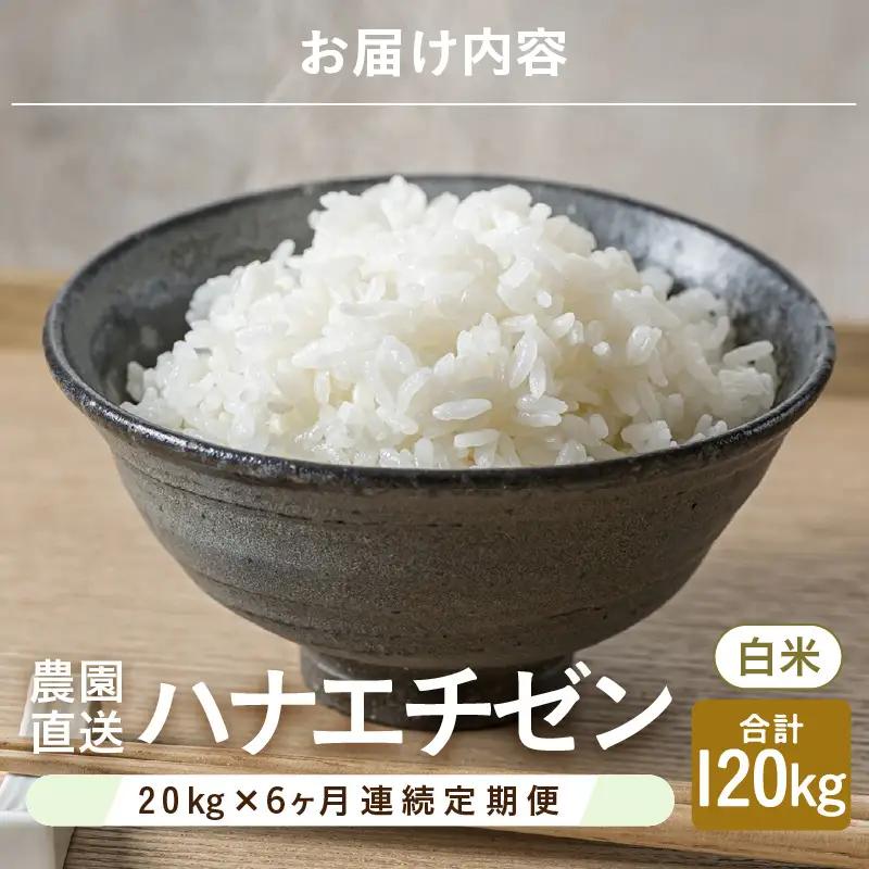 【先行予約】【令和8年産・新米】定期便 ≪6ヶ月連続お届け≫ ハナエチゼン20kg×6回 計120kg（白米）【2026年9月上旬以降順次発送予定】 [O-8910_01]