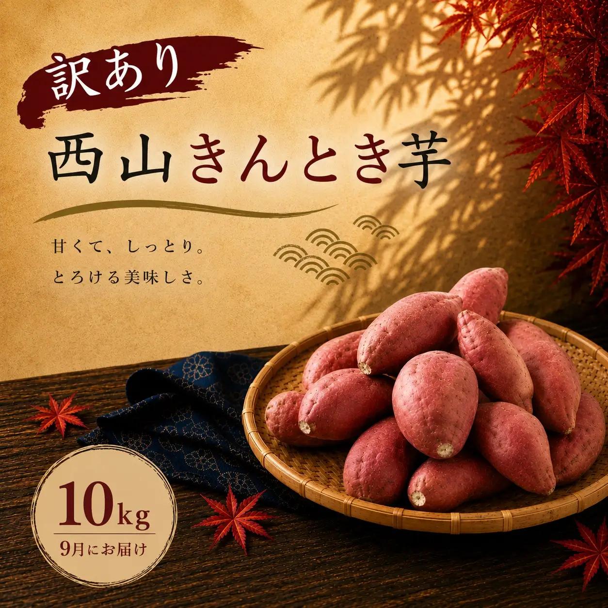 【令和８年９月お届け】西山きんとき芋 10kg | 訳あり 新芋 さつまいも サツマイモ さつま芋 焼き芋 やきいも ヤキイモ 人気 野菜 不揃い 規格外 おやつ デザート秋 旬 生芋 ご家庭用 10000円 高知県 室戸市