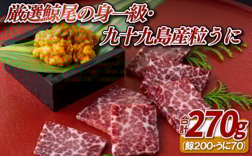A437 〈中島鯨商店〉厳選鯨尾の身一級･九十九島産粒うに