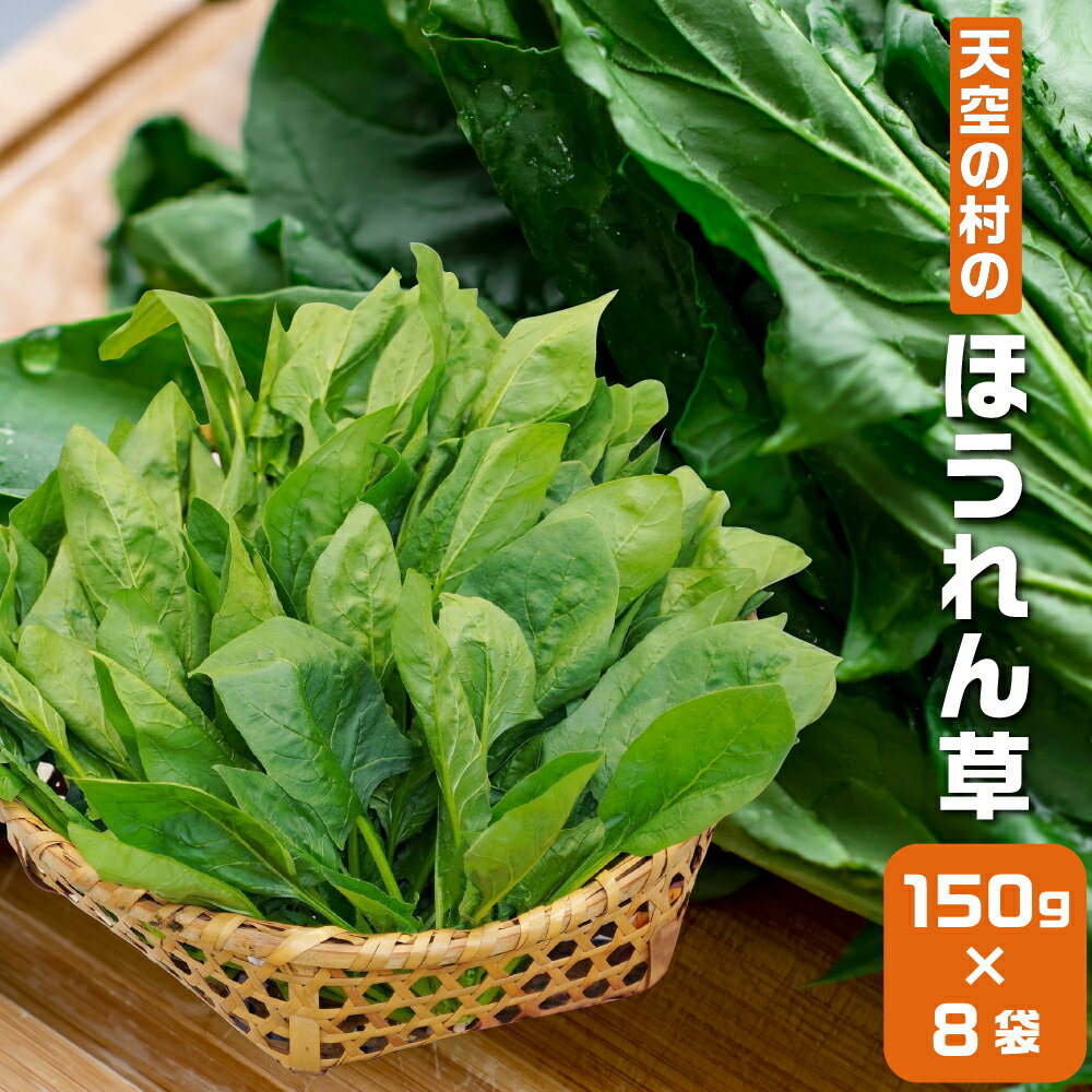 【ふるさと納税】《先行予約》《期間限定》飛騨ほうれん草 150g×8 朝採れ ほうれんそう ホウレンソウ 個包装 野菜 やさい 葉物 山之村 新鮮 産地直送 飛騨市 [A0089wx]10000円 1万円