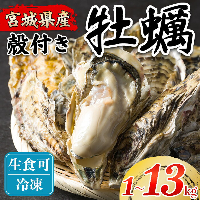 【ふるさと納税】松島牡蠣屋 冷凍牡蠣（生食用）選べる内容量 1～13kg 宮城県産 牡蛎 牡蠣 カキ オイスター カキフライ 牡蠣鍋 海鮮 国産 魚貝類 急速冷凍【菊地水産合同会社】tm749・tm750・tm751・tm752・tm753