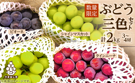 【2026年発送】数量限定ぶどう三色セット(クインニーナ、シャインマスカット、ピオーネ)2kg【配送不可地域：離島】【1670538】