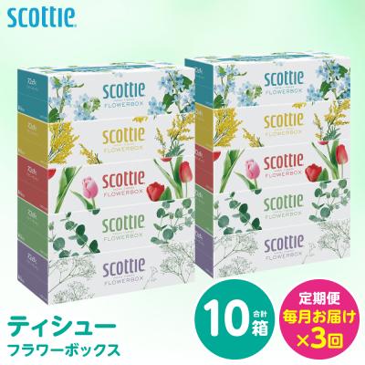 ふるさと納税 八代市 【毎月定期便】 ティッシュ 250組 10箱 日用品 スコッティ 全3回_186-6436