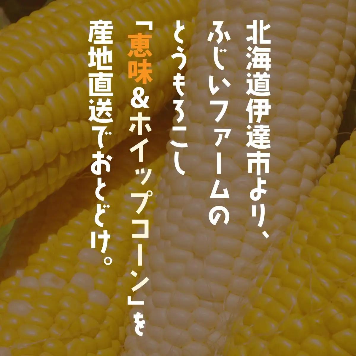 ＜先行予約＞北海道産 とうもろこし(恵味/ホイップコーン) 計20本【55250487】