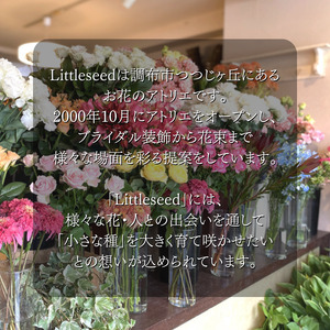 	3か月 お届け お楽しみ！ 季節 の アレンジメント 「Medium」 | アレンジ タイプ 高さ約26cm 横幅約23cm お花 flower フラワー ふらわー 花 はな リトルシード インテリ