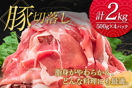 南国みやざき6kgセット＜豚肉2kg+鶏肉4kg＞※60日以内に出荷【C200】