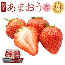 【ふるさと納税】＜選べる容量＞博多あまおう（春）250g～270g×2パック／4パック／6パック あまおう いちご イチゴ 苺 フルーツ 果物 くだもの 冷蔵 博多 福岡県 岡垣町 送料無料【2025年2月上旬～4月下旬発送予定】