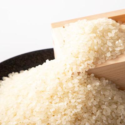 ふるさと納税 ひたちなか市 ひたちなか市のお米コシヒカリ5kg |  | 02