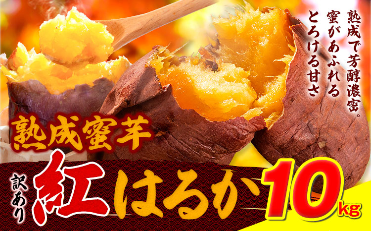 訳あり紅はるか サツマイモ 10kg 《2026年1月上旬-5月末頃出荷予定》紅はるか さつまいも 熊本県 大津町 イモ 芋 さつまいも 訳あり---oz_jsmih_26_af15_9000_10k