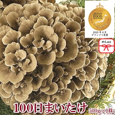 
                  ＜のし付き＞100日まいたけ 500g×1株【1429422】
                