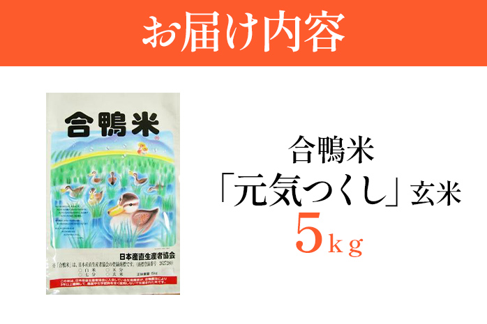 令和7年産 新米予約 合鴨米「元気つくし」（玄米・5kg） ※2025年10月より順次出荷予定　BI09