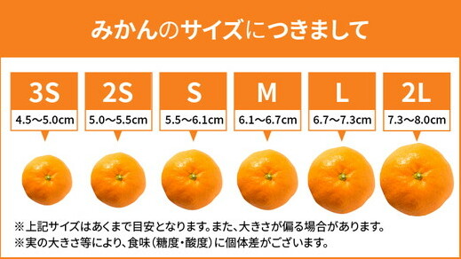 【先行予約】 有田みかん 秀品 約5kg サイズ混合 和歌山県産_イメージ2