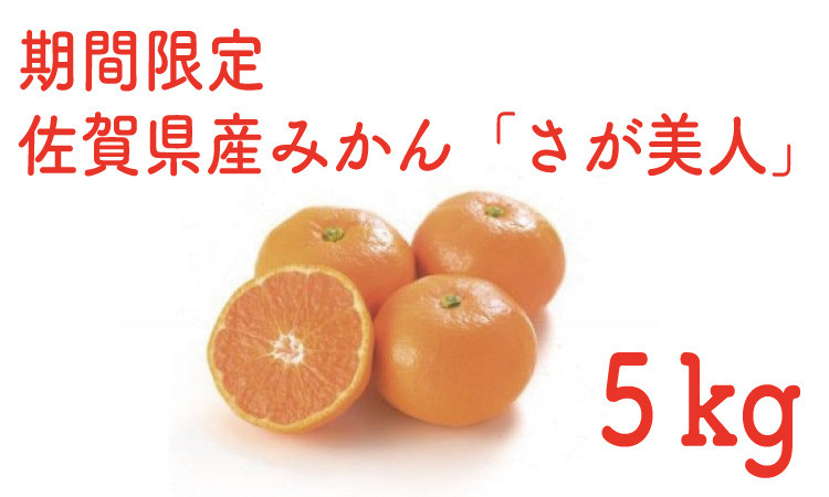 
                  【2026年11月以降発送】 佐賀県産みかん『さが美人』 / 佐賀県 /佐賀県農業協同組合　さが風土館季楽直販本店  [41AABE119]
                