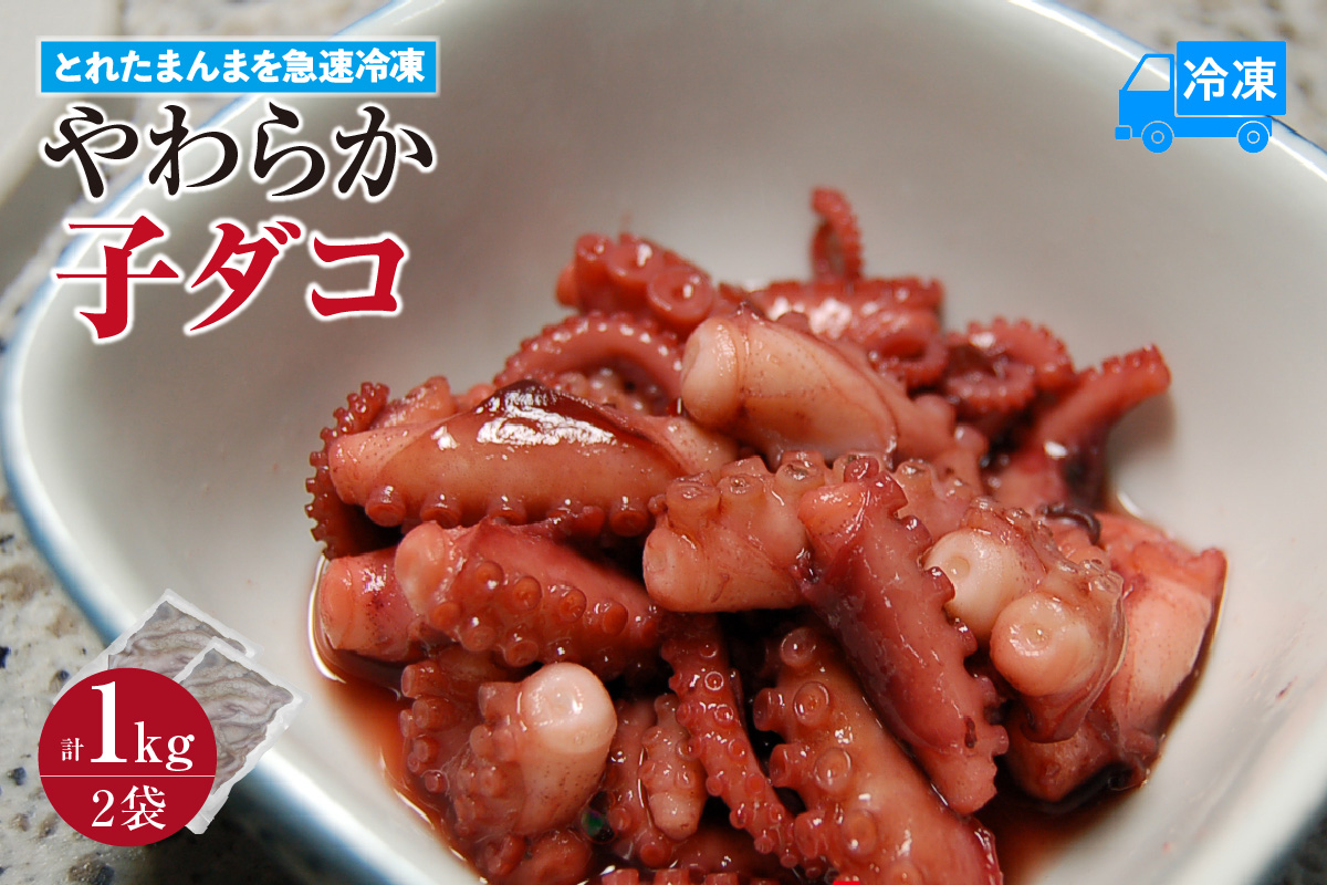【とれたまんまを急速冷凍 やわらか子ダコ 500g×2袋 1kg 冷凍】ご入金確認後、順次発送予定 国産 小だこ 生 真空パック 産地直送 鮮度抜群 タコ たこ 海鮮 ふるさと納税 おすすめ 返礼品 