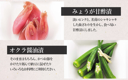 【令和8年発送 先行予約】 夏限定！　浅漬詰合せ　［K-723］ 株式会社 本長