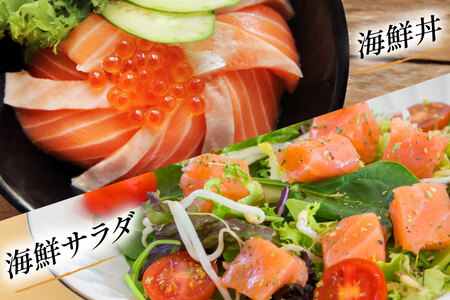 定期便 訳あり とろサーモン 刺身 5パック計1kg×3回 総計3kg 毎月 3回 定期 [たみこの海パック 宮城県 南三陸町 m304amh560079]