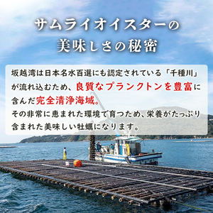 【2024年1月中旬～2024年4月下旬】牡蠣 生食 坂越かき 殻付き 33個(牡蠣ナイフ・軍手付き)サムライオイスター 生牡蠣 冬牡蠣