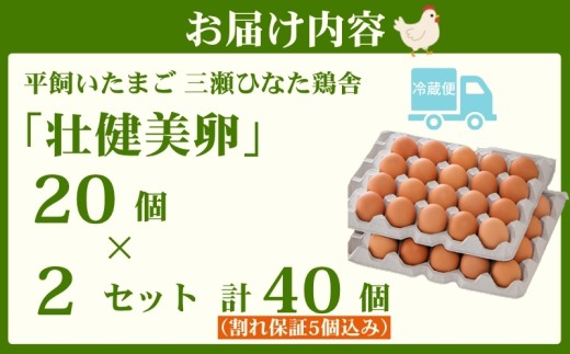 平飼いたまご 三瀬ひなた鶏舎 「壮健美卵」35個＋割れ保証5個（計40個）：B135-026