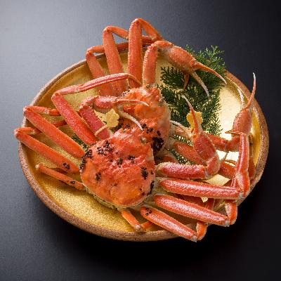 ふるさと納税 鯖江市 【11月6日漁解禁】福井冬の味覚!越前がに　 900-1,000g × 2杯